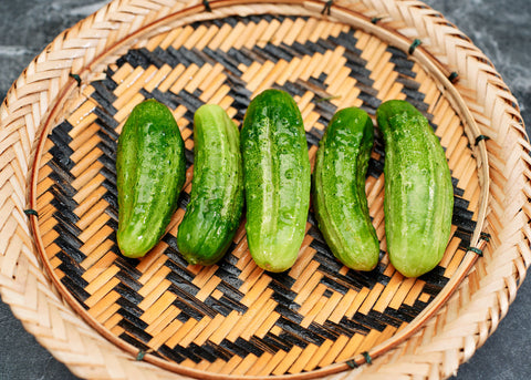 Heirloom Seeds_Cucumber National Pickling_Bucktown Seed Company-04