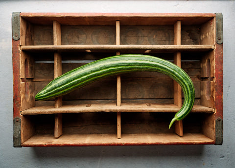Heirloom Seeds_Cucumber Striped Armenian_Bucktown Seed Company-01