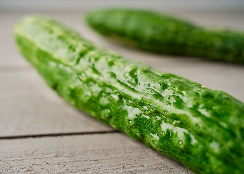 Heirloom Seeds - Suyo Long Cucumber - Bucktown Seed Company-01