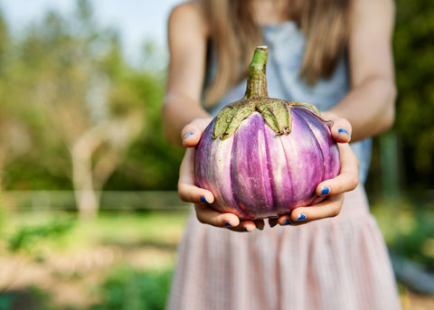 Heirloom Seeds_Eggplant Rosa Bianca_Bucktown Seed Company-03