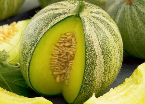 Haogen - Organic Melon Seeds