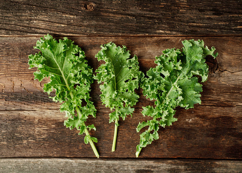 Heirloom Seeds_Blue Curled Scotch Kale Seeds_Bucktown Seed Company-03