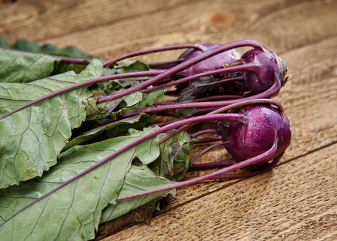 Heirloom Seeds_Kohlrabi Purple Vienna_Bucktown Seed Company-02