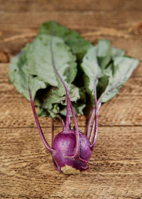 Heirloom Seeds_Kohlrabi Purple Vienna_Bucktown Seed Company-04