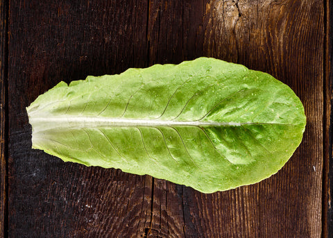 Heirloom Seeds_Lettuce Little Gem_Bucktown Seed Company-04