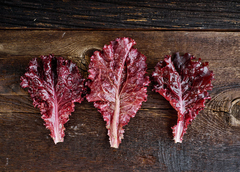 Heirloom Seeds_Lettuce_Lollo Rosa_Bucktown Seed Company-01