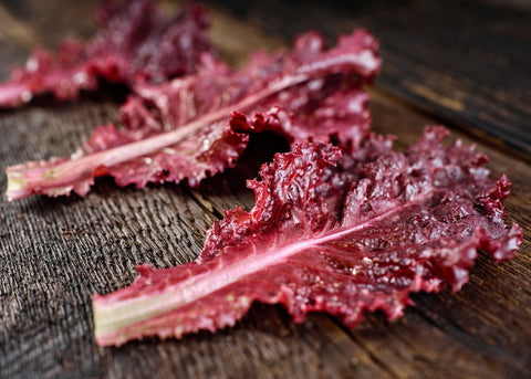 Heirloom Seeds_Lettuce_Lollo Rosa_Bucktown Seed Company-04