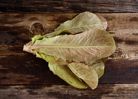 Heirloom Lettuce Seeds - Rouge De Hiver Lettuce - Bucktown Seed Company _04