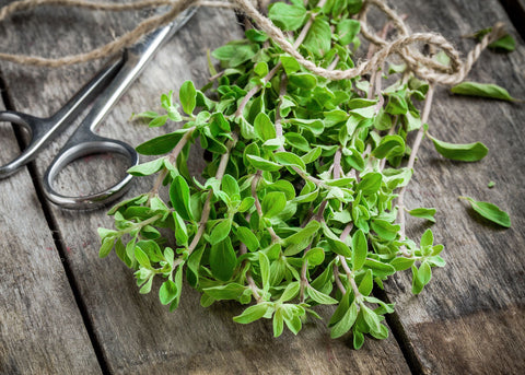 Marjoram - Herb Seeds
