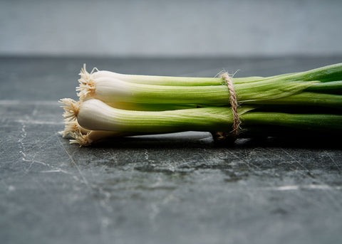 Heirloom Seeds_Onion Evergreen Bunching_Bucktown Seed Company-01