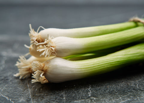 Heirloom Seeds_Onion Evergreen Bunching_Bucktown Seed Company-06