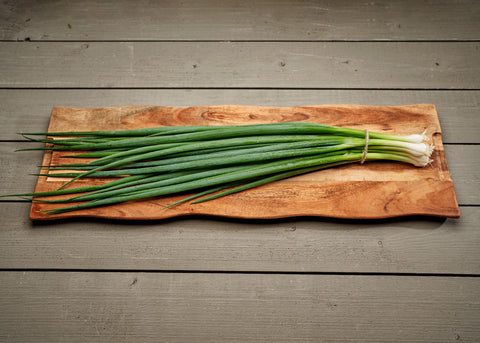 Heirloom Seeds_Onion Evergreen Bunching_Bucktown Seed Company-05