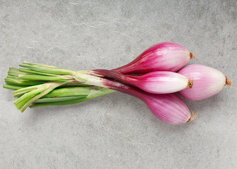 Heirloom Seeds_Onion Red Torpedo_Bucktown Seed Company-01