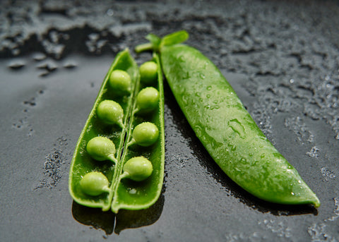 Heirloom Seeds_Peas Laxtons Progress #9_Bucktown Seed Company-02
