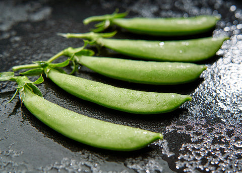 Heirloom Seeds_Peas Sugar Snap_Bucktown Seed Company-03