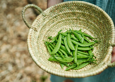 Heirloom Seeds_Peas Sugar Snap_Bucktown Seed Company-01