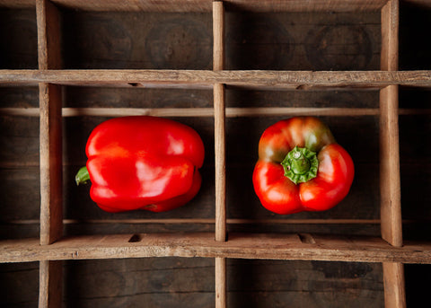 Heirloom Seeds_Pepper California Wonder_Bucktown Seed Company-01