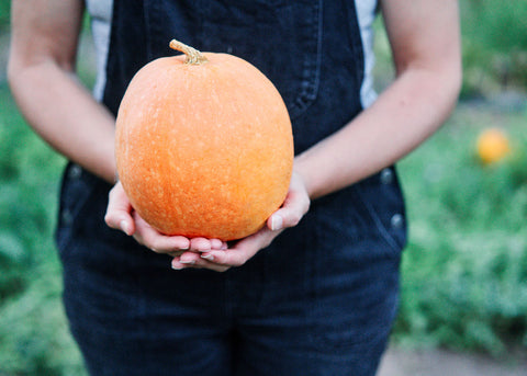 Heirloom Seeds_Amish Pie Pumpkin Seeds_Bucktown Seed Company-02