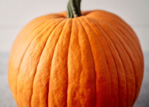 Pumpkin_Connecticut Field_Seeds_Bucktown Seed Company_03