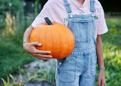 Pumpkin_Connecticut Field_Seeds_Bucktown Seed Company_02