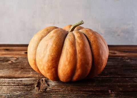 Heirloom Seeds - Pumpkin Musquee De Provence - Bucktown Seed Company-01