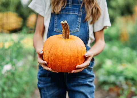Heirloom Seeds Pumpkin New England Sugar Pie - Bucktown Seed Company-01