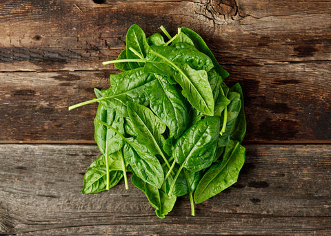 Heirloom Seeds_Spinach Bloomsdale_Bucktown Seed Company-01