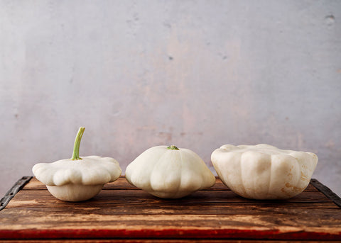 Heirloom Seeds - Early White Bush Scallop Squash - Bucktown Seed Company-01