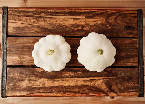 Heirloom Seeds - Early White Bush Scallop Squash - Bucktown Seed Company-01