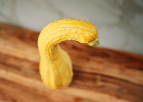 Heirloom Seeds - Summer Crookneck - Squash - Bucktown Seed Company-02
