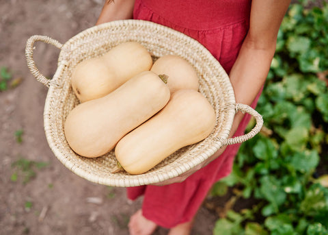 Heirloom Seeds - Waltham Butternut Squash - Bucktown Seed Company-04