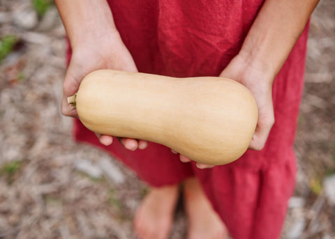 Heirloom Seeds - Waltham Butternut Squash - Bucktown Seed Company-05