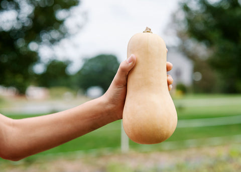 Heirloom Seeds - Waltham Butternut Squash - Bucktown Seed Company-02