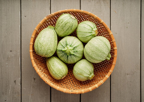 Heirloom Seeds_Ronde de Nice_Squash_Seeds_Bucktown Seed Company-02
