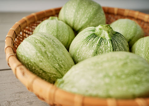 Heirloom Seeds_Ronde de Nice_Squash_Seeds_Bucktown Seed Company-03