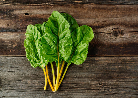 Heirloom Seeds_Oriole Orange Swiss Chard Seeds_Bucktown Seed Company-04