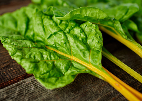 Heirloom Seeds_Oriole Orange Swiss Chard Seeds_Bucktown Seed Company-01