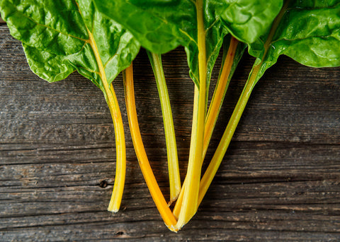 Heirloom Seeds_Oriole Orange Swiss Chard Seeds_Bucktown Seed Company-05