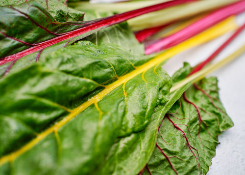 Heirloom Seeds_Swiss Chard Rainbow Mix_Bucktown Seed Company-03