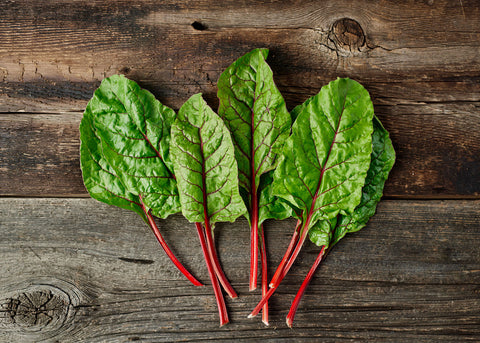Heirloom Seeds_Swiss Chard Rhubarb_Bucktown Seed Company-03