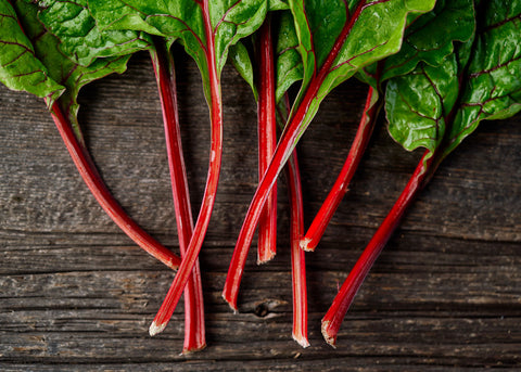 Heirloom Seeds_Swiss Chard Rhubarb_Bucktown Seed Company-05