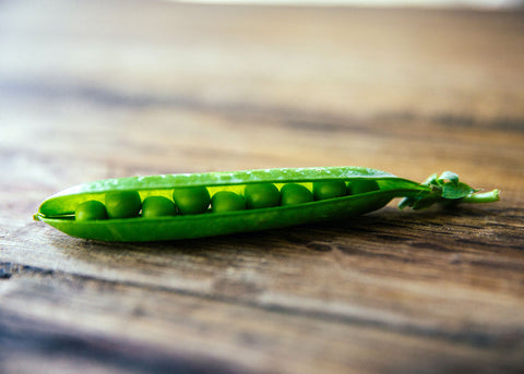 Tom Thumb - Organic Shelling Pea Seeds