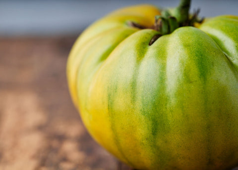 Heirloom Seeds_Tomato Cherokee Green_Bucktown Seed Company-04
