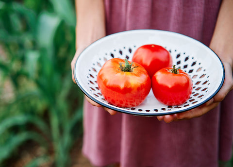 Heirloom Seeds_Tomato Moskvich_Bucktown Seed Company-03