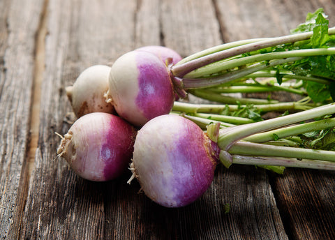 Heirloom Seeds_Turnip Purple Top White Globe_Bucktown Seed Company-05