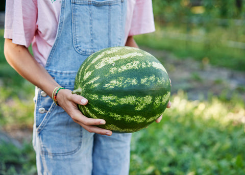 Heirloom Seeds_Watermelon_Crimson Sweet_Bucktown Seed Company-03