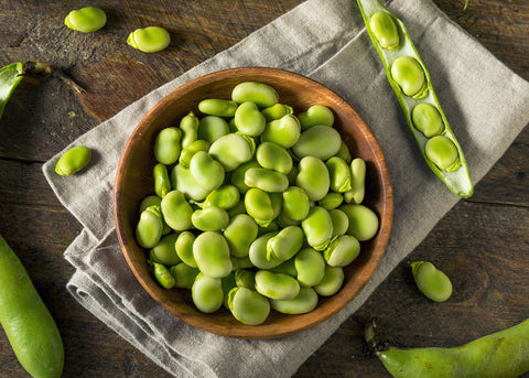 Windsor Fava - Bean Seeds