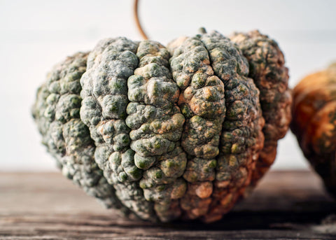 Squash_Chirimen_Seeds_Bucktown Seed Company_04