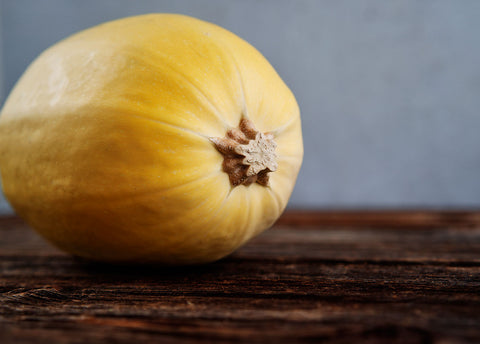 Heirloom Seeds_Spaghetti Squash_Bucktown Seed Company-03