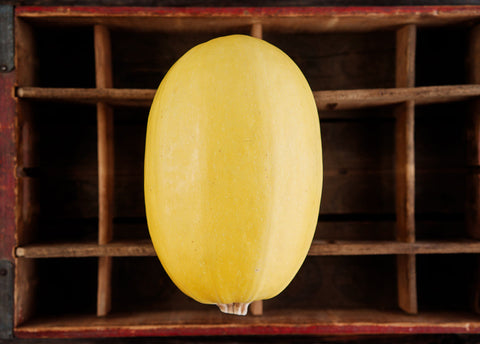 Heirloom Seeds_Spaghetti Squash_Bucktown Seed Company-04
